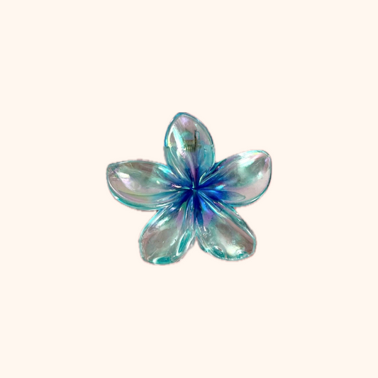 Maui Hair Claw Clip
